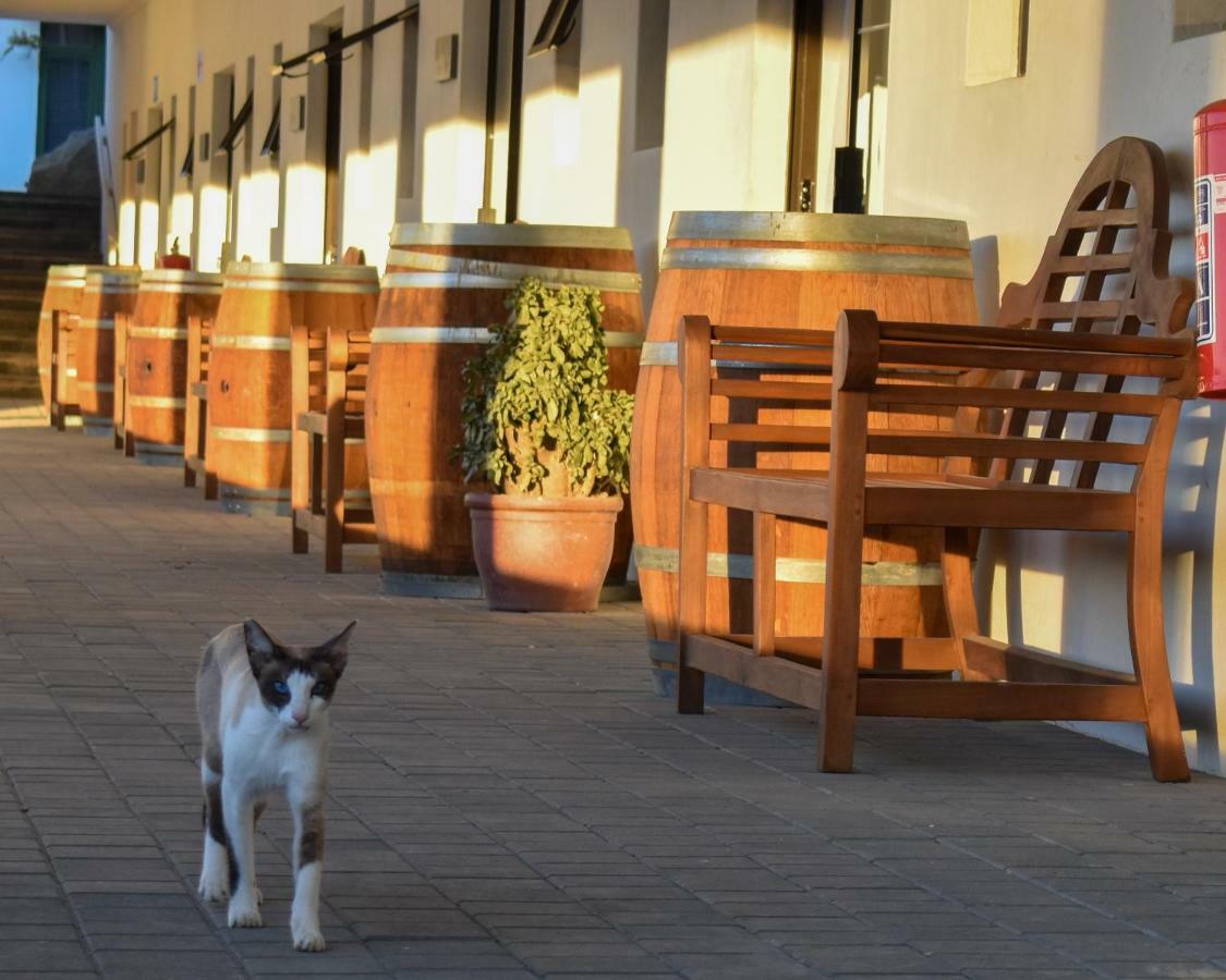 Middelplaas Paarl Guesthouse Экстерьер фото